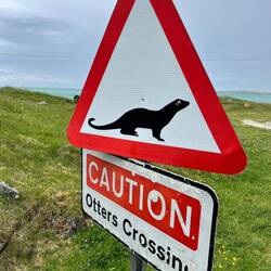 Augen auf im Straßenverkehr