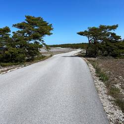 ... und an der Küste.