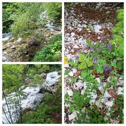 Ganz schön wild hier oben auf ca. 900 m