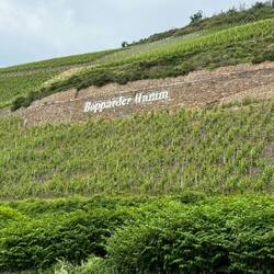 Und dann sind wir nach gut 35 km in der Weinregion unseres Weinlieferanten
