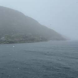 Der kleine Puffin gibt Schub