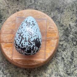 Puffin Ei (Form durch drehen im Kreis im Nest, Maserung immer individuell)