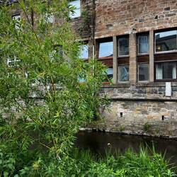 Our accommodation windows over the Water of Leith