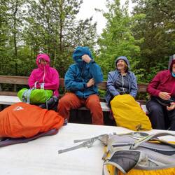 Reiseleiter Tiit offline