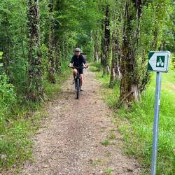 Erstaunlich viele Radwege