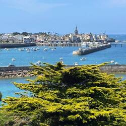 Blick auf Roscoff