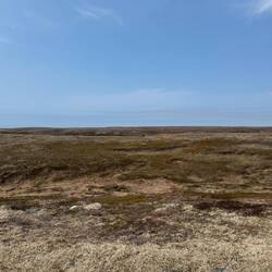 Suchbild. Wo ist Julia?