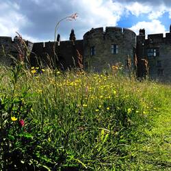 Chirk Castle