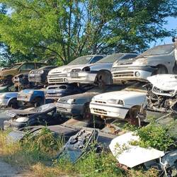 Das sind die alten Autos.🤪 Jetzt fahren alle Mercedes, Audi, VW🫣😎