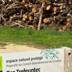 Preserving Nature - Hotel de la.Plage