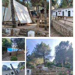 Campingplatzimpressionen