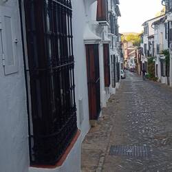 Alle Fenster, ob groß ob klein, sind hier vergittert