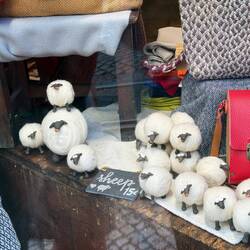 Tiny sheep, cute but €15?!