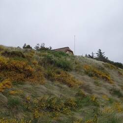 wohnen in den Dünen