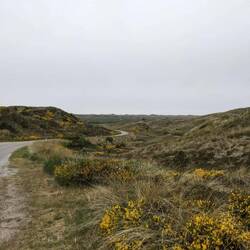 nur eine Straße führt hier hindurch Richtung Nordsee