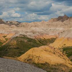 Gelbe Schicht auch Mud Schicht = Fossilienfunde