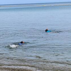 Liz and Devin get the snorkeling underway. Note the shark net in the background.