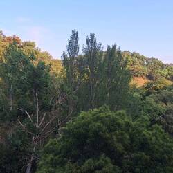 View from our accomodation