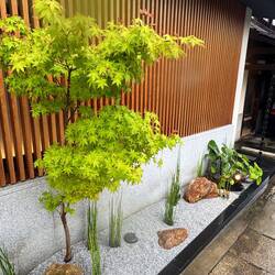 Space Determines Japanese Gardens