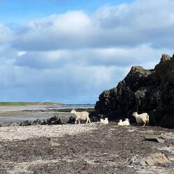 It looks deceptively calm