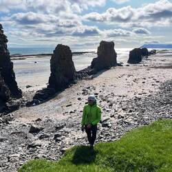 Wandering beach with Guenter