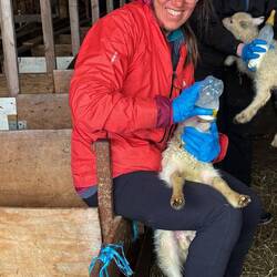 Having decided to stay indoors we "help" feed the lambs
