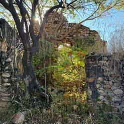 Früher Speerspitze kolonialer Kaiserträume, heute Stillleben "Natur und Kultur"