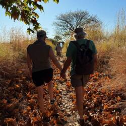 Deutsches Gemälde: Siegfried schreitet mit Brunhilde durch das kaiserliche Sonnentor!Götterdämmerung