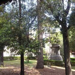 Garden of the museum