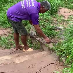 Earth worms for his ducks