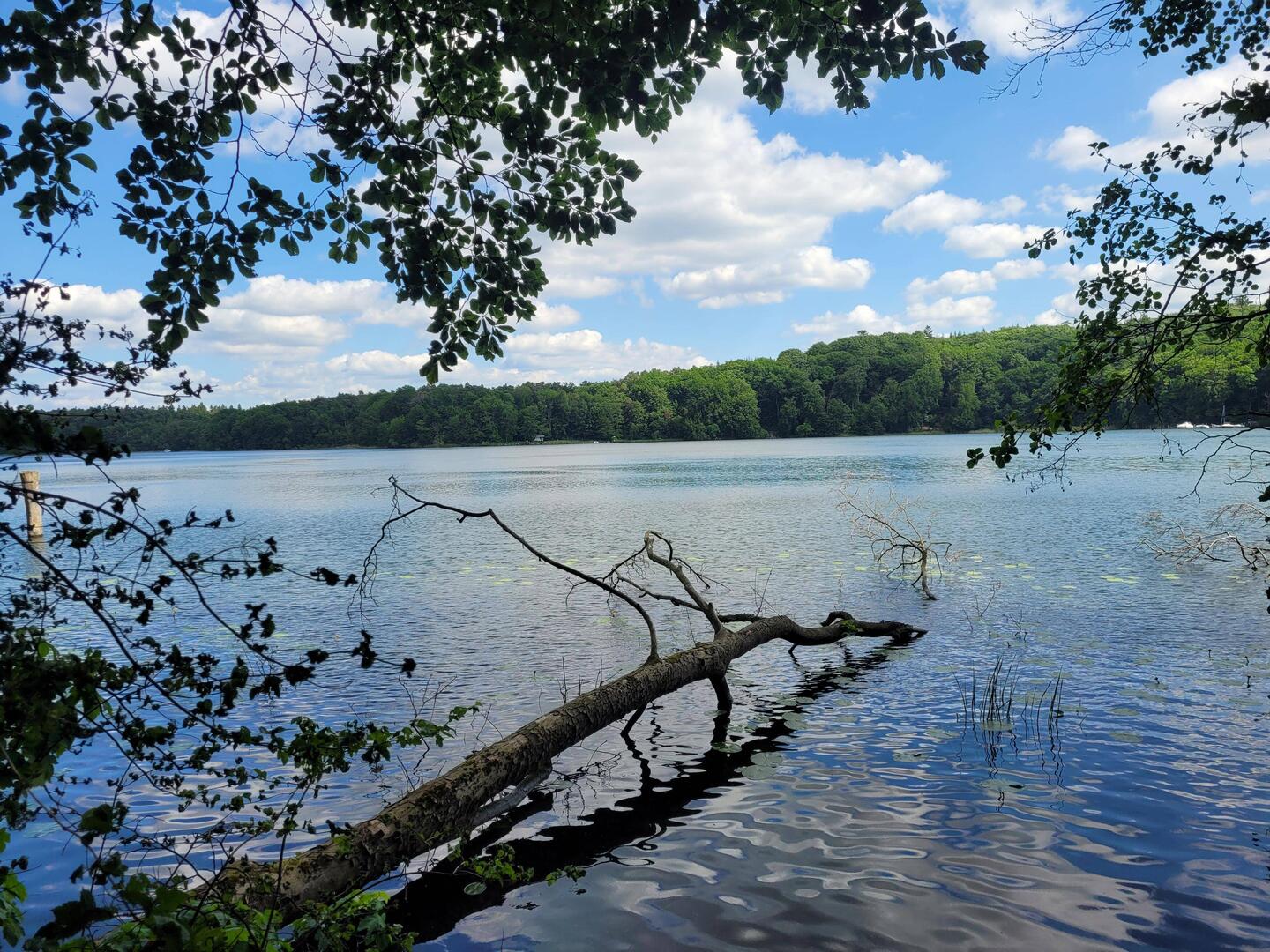 Fahradtour am See entlang
