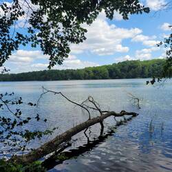 Fahradtour am See entlang