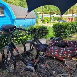 Baumstamm als Fahrradständer