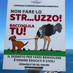 Auch ohne Sprachkenntnisse leicht zu verstehen!