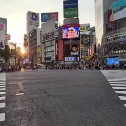 berühmte Kreuzung in Shibuya