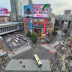 berühmte Kreuzung in Shibuya