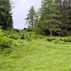 Chasse aux balisages