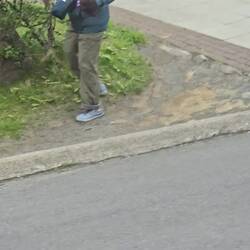 This shows how strong the wind was.