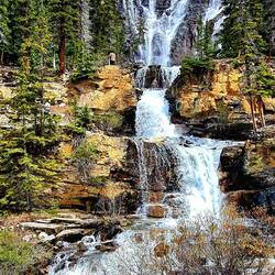 Tangle Falls