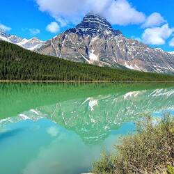 Lake Waterfowl