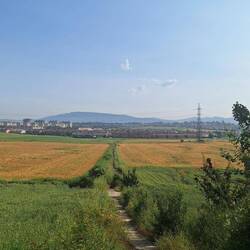 Looking back to Pamplona