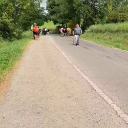 They were not impressed we were on their path!