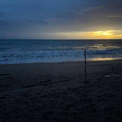 Gute Nacht allerseits 💫