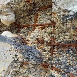 die Natur hinterlässt ihre Spuren zwischen Beton und Stahl....