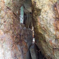 dort wollen wir hoch ....