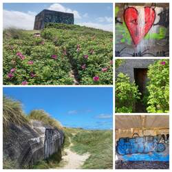 Dieser Bunker liegt mitten in den Dünen. Ein unterirdisches Labyrinth über 2 Etagen😳