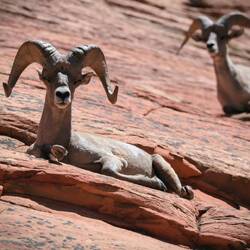 .... Und größere Überraschungen. 😊