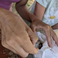 ...sogar um die kleinen Schwalben, die aus dem Nest fallen