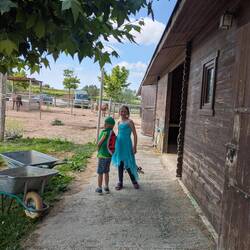 Keine Verkleidungskiste ist vor ihnen sicher