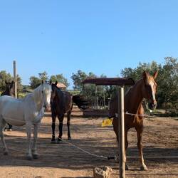 Jeden Morgen werden wir schon freudig erwartet